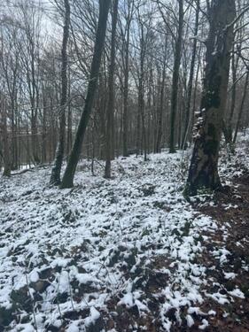 Foto - Grundst&uuml;ck in Ochtrup