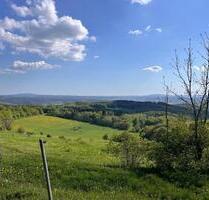 GRUNDSTÜCKE WIESE WALD QUELLE AUSSICHT ALLEINLAGE - Brotterode-Trusetal