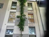 Foto - Wohnung zu vermieten - 500,00 EUR Kaltmiete,