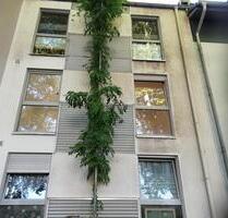 Wohnung zu vermieten - 500,00 EUR Kaltmiete, in Heiligenhaus (PLZ: 42579)
