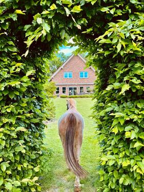 Foto - Hochwertiges Architektenhaus in Toplage von Lengerich