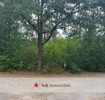 Eckgrundstück in Groß Glienicke am Waldrand und in Wassernähe! - Potsdam Krampnitz