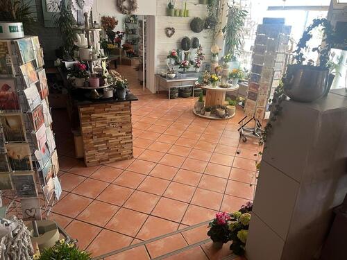 Foto - andere in Springe