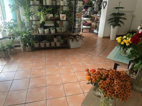 Foto - andere in Springe zur Miete