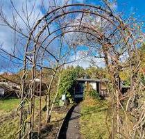 Kleingarten Schrebergarten Gifhorn Kästorf - Müden (Aller)