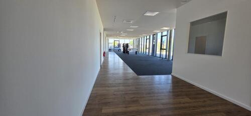 Foto - ZU VERMIETEN - Ansprechende Bürofläche