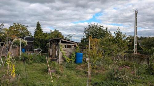 Foto - Grundstück zur Miete in Halle (Saale)