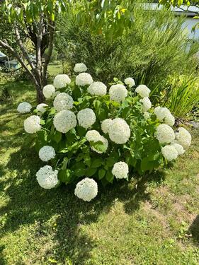 Foto - Grundst&uuml;ck in Eisenberg