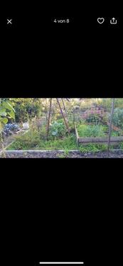 Foto - Grundstück in Teutschenthal zur Miete