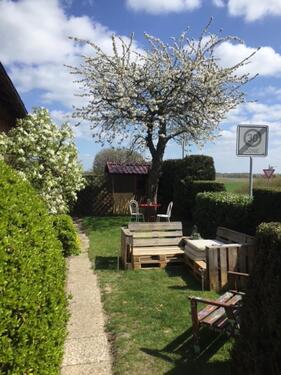 Foto - Freundliche 3-Zimmer-Whg. mit Garten