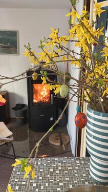 Foto - SommerhausBungalow mit Garten zu vermieten in Brandenburg