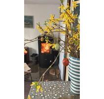 SommerhausBungalow mit Garten zu vermieten in Brandenburg - Bad Freienwalde (Oder)