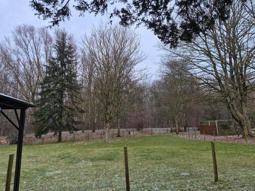 Foto - Mietwohnung - 600,00&nbsp;EUR Kaltmiete, ca.&nbsp; 55,00&nbsp;m&sup2;