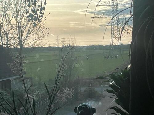 Foto - 2 Zimmer Etagenwohnung zur Miete in Bremen