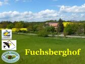 Foto - Ferienwohnung am Müritz Nationalpark auch Angelurlaub möglich