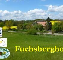 Ferienwohnung am Müritz Nationalpark auch Angelurlaub möglich - Möllenhagen