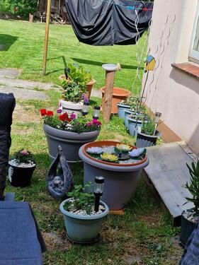 Foto - Erdgeschoßwohnung in Nordenham zur Miete