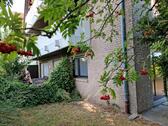 Foto - Erdgeschoßwohnung in Lembruch zur Miete