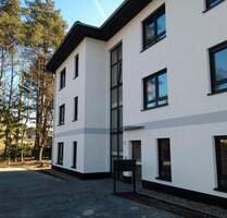 3-Raum-Wohnung im 1.OG in Grünheide - Erkner