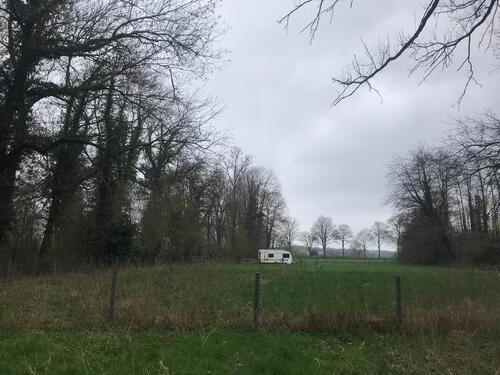 Foto - Eingezäunte Grünfläche zur Pacht – ca. 2.000 m² in ruhiger Lage