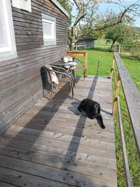 Foto - andere in Bad Waldsee zur Miete