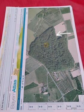 Foto - Grundstück zur Miete in Neuberg