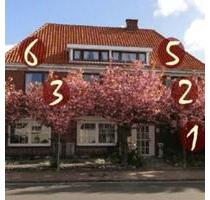Einraumappartement im Zentrum von Büsum, neues Bad und Kochzeile