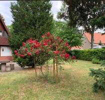 Wunderschönes Ferienhaus in traumhafter Lage - Dresden