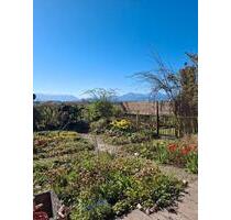 Ferienwohnung in Laufen Leobendorf