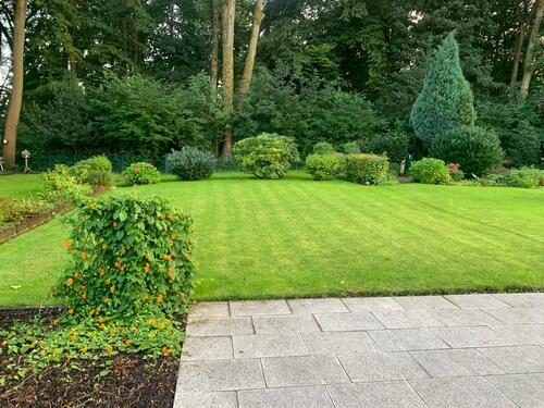 Foto - 5 Zimmer Reihenhaus in Wuppertal