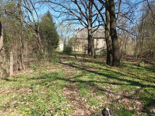 Foto - Etagenwohnung zur Miete in Kodersdorf