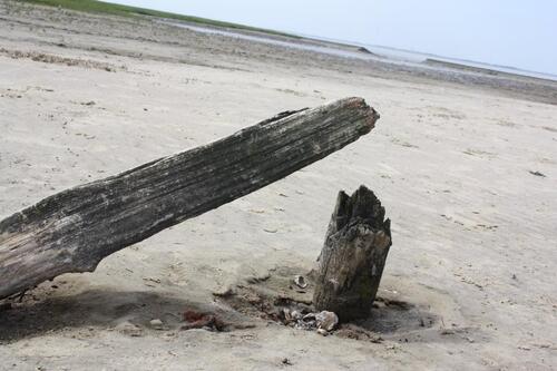 Foto - andere in Ibbenbüren zur Miete