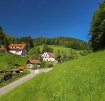 Ferienwohnung im Schwarzwald-Bauernhof ❤ Ruhe + Natur ❤ 2-6 Pers. - Oppenau