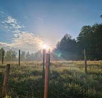 Wiese für Schafe - 80,00&nbsp;EUR Kaltmiete, ca.&nbsp; 0,00&nbsp;m&sup2; in Waltenhofen (PLZ: 87448)