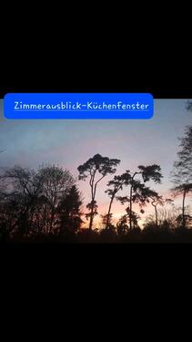 Foto - 2.5 Zimmer Dachgeschosswohnung - 750,00 EUR Kaltmiete,