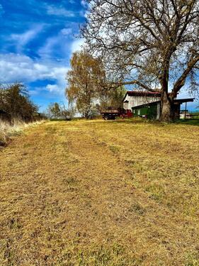 Foto - Einfamilienhaus in Mücke