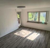 Frisch renovierte helle 3- Zimmer Wohnung - Marbach am Neckar