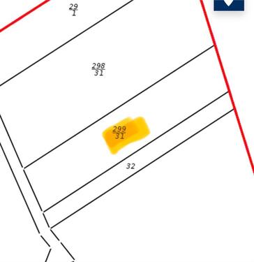 Foto - Waldfläche Bleicherode Elende - 3.750,00 EUR Kaltmiete, ca.  0,00 m²