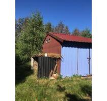 Wochenendgrundstück Garten Naturgrundstück mit Teich - Stuhr