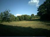 Foto - Wiesenfläche zur Pacht - 150,00 EUR Kaltmiete, ca.  0,00 m²