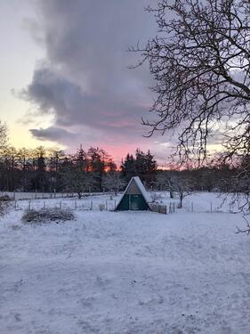 Foto - 2 Zimmer Dachgeschoßwohnung zur Miete in Plön