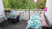 Foto - Mietwohnung - 724,00 EUR Kaltmiete,