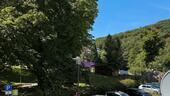 Foto - 2-Raum-Wohnung mit Balkon direkt am Kurpark in Schlangenbad