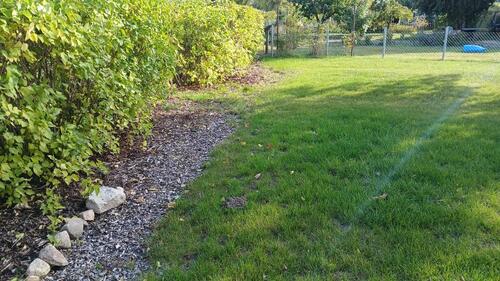 Foto - Grundst&uuml;ck zur Miete in Meine