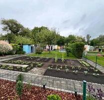 Garten zu Verpachten - 1.100,00 EUR Kaltmiete, ca.  0,00 m² in Elsterwerda (PLZ: 04910)