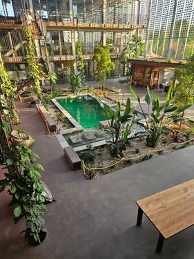 Foto - andere in Offenburg