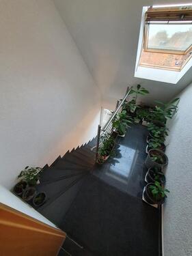 Foto - Etagenwohnung in Köln