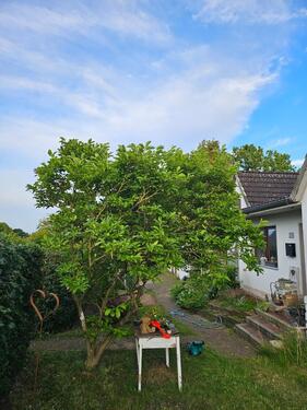 Foto - Einfamilienhaus in Preetz