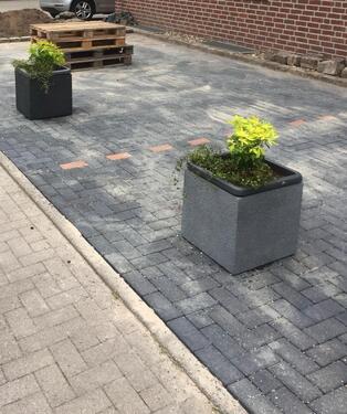 Foto - Parkplatz Raesfeld Roggenkamp - 40,00 EUR Miete,