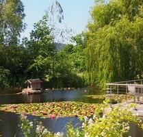 Moderne Büros mit Top-Anbindung in Jena